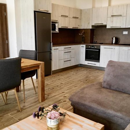 Apartman Horni Misecky 437 Extérieur photo